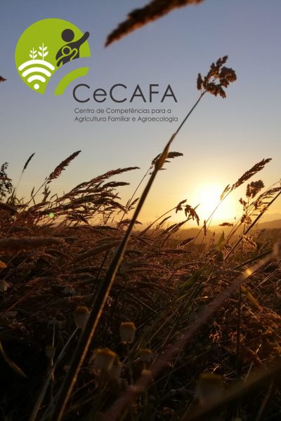IMG_20210707_205203_cecafa1