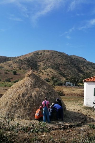 Meda Lagoa 2