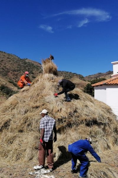Meda Lagoa 3