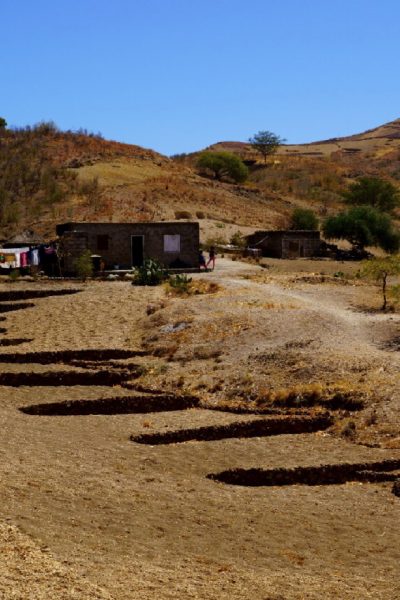 Practica Agroecologica Conserva+º+úo de Solos (91)
