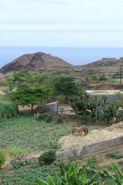 Ribeira da Cruz (9)